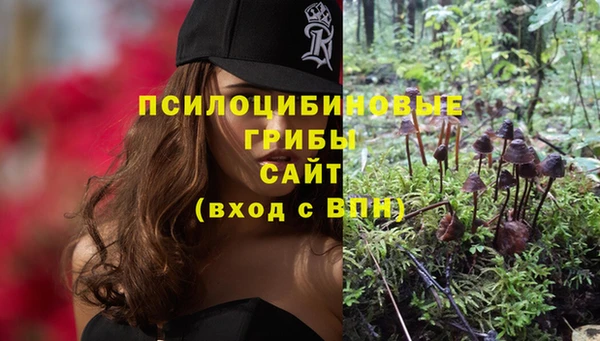MDMA Алексеевка