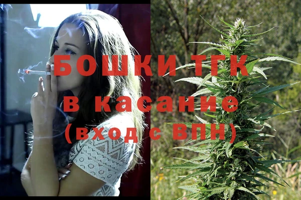 винт Алзамай