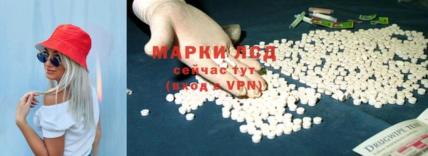винт Алзамай
