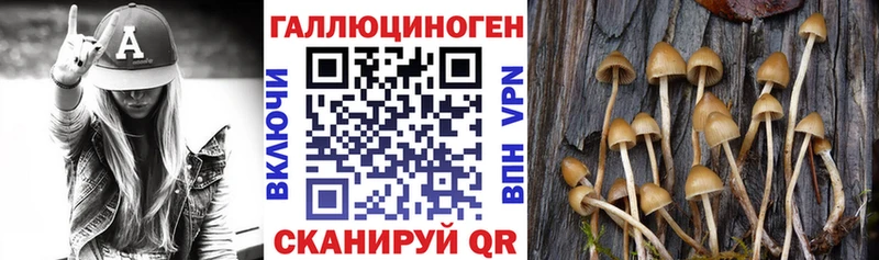 Псилоцибиновые грибы GOLDEN TEACHER  мега зеркало  Суровикино 
